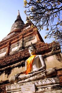 wat, thailand, buddha-528395.jpg